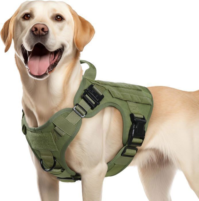 Comparer les prix de Rabbitgoo Harnais Chien Harnais Tactiques pour Chien-M Vert armée Réglable Résistante pour Randonnées et Chasse