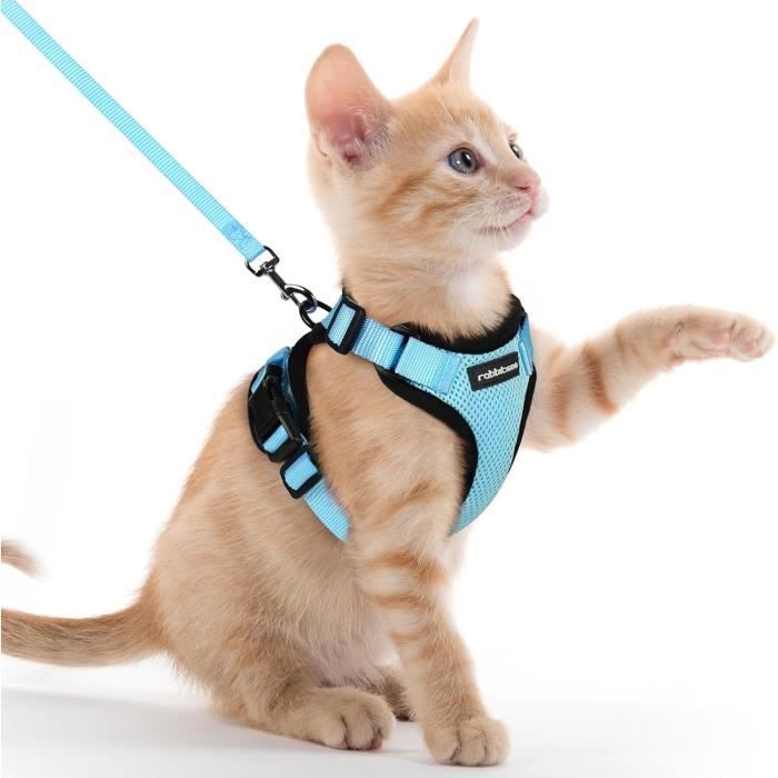 Meilleurs prix pour rabbitgoo Harnais Chat Anti évasion avec Laisse  Clair XXS, Harnais Chaton Petit Chien Réglable, Collier Harnais et Laisses pour208