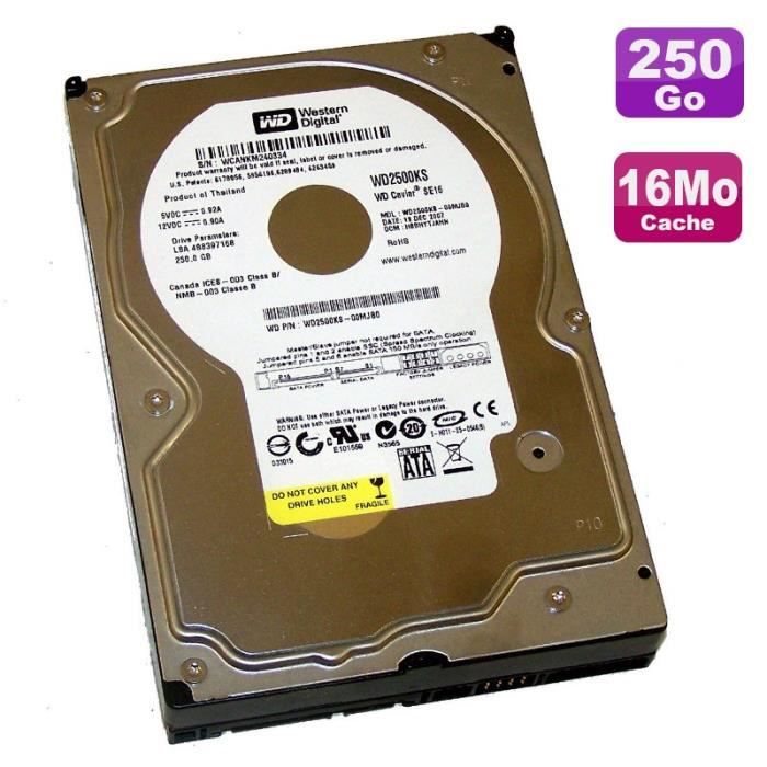 WESTERN DIGITAL 250 GO