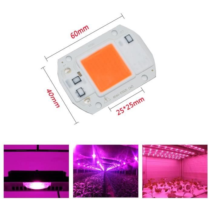 HG Power Lampe De Culture LED 100W Full Spectrum - Dimmable LM301H EVO Pour Plantes Intérieur