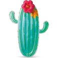 Matelas gonflable Intex Cactus-1