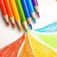 AVANC Boîte de 50 Crayons de Couleur,Les Meilleurs Crayons pour Enfants,Adultes et Artistes-3