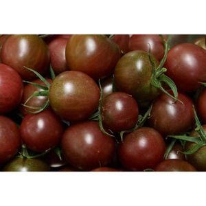 Man Friday 20 Graines Violet Tomate cerise fruits biologiques légumes usine