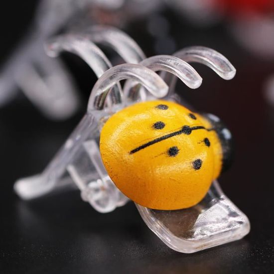 DESQUIGGLE Vanda Lot De 3 Paniers De Culture Rustiques Pour Orchidées Avec Crochets