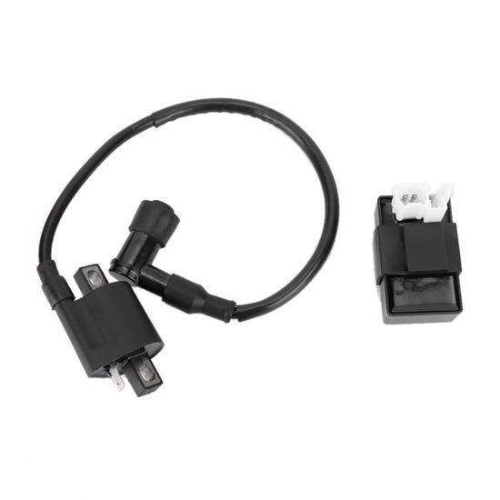 Bobine D'Allumage Riloer Pour Quad ATV Shi-neray 200CC 250CC XY200STIIE XY250STIXE XY250ST-9E