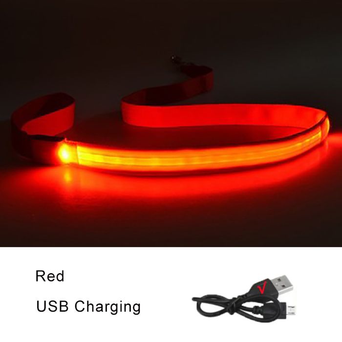 Laisse pour chien lumineuse à LED - Phoesky - 120x2 5 cm - Rouge - Chargement USB - Modes clignotants - Étanche