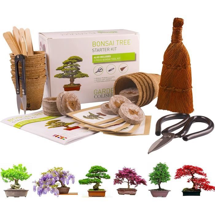 Kit bonsaï, Kit de plantation bonsaï à faire pousser Ensemble cadeau