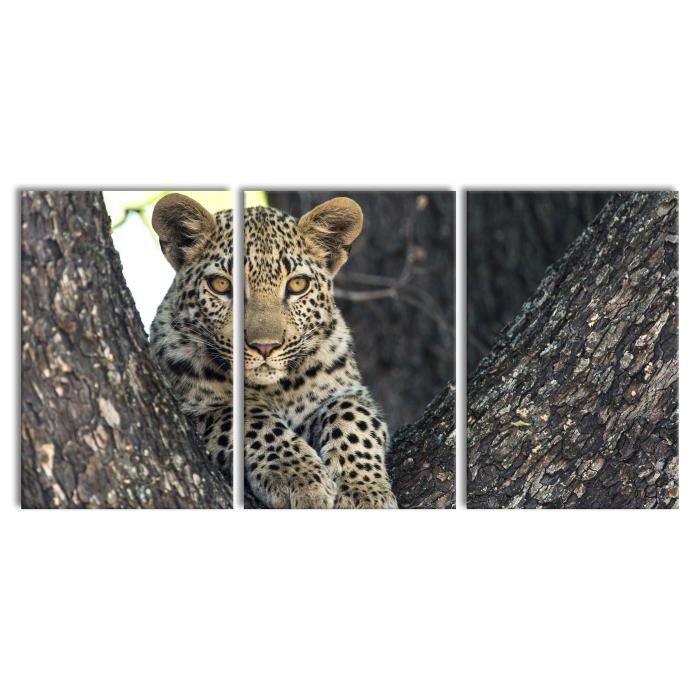 Leopard Bebe 3 Pieces Xxl 240 X 1 En Tout Peinture Sur Toile Decoration Impression D Art Cdiscount Maison Leopard Bebe 3 Pieces Xxl 240 X 1 En Tout Peinture Sur Toile Decoration Impression D Art Cdiscount Maison