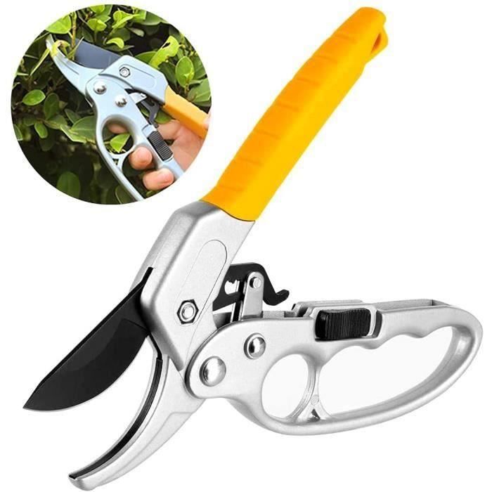 Sécateur à Cliquet - Lee Valley Tools