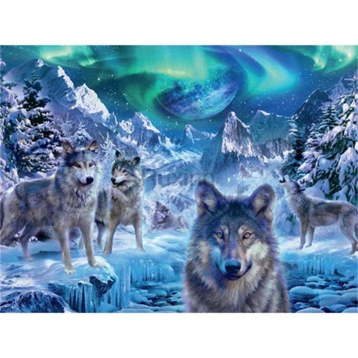 Broderie Diamant Illustration Loup et Montagne