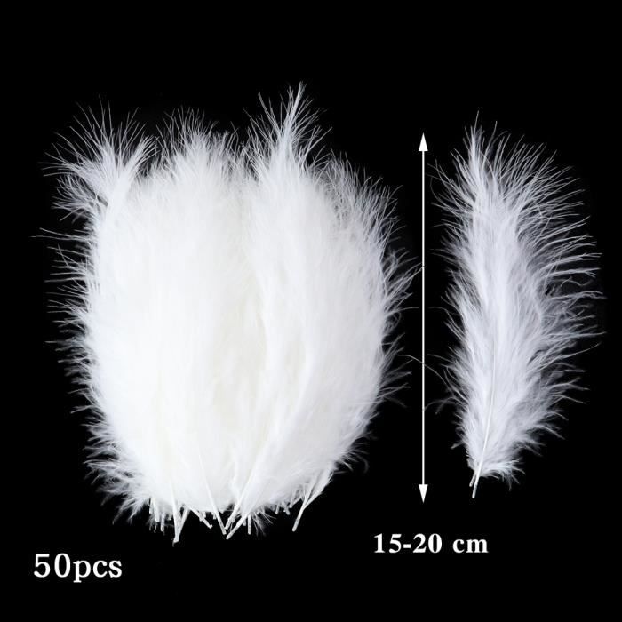 50 Plumes Naturelles Ticeed - Faisan, Pintade, Oie - 10-25 Cm Pour Déco Et Artisanat