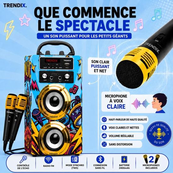 Pack Karaoké KARAOKE-STAR2MKII LTC - 2 Enceintes, 2 Micros, Ampli Bluetooth 100W + Jeu De Lumière Astro - Ambiance Festive à La Maison
