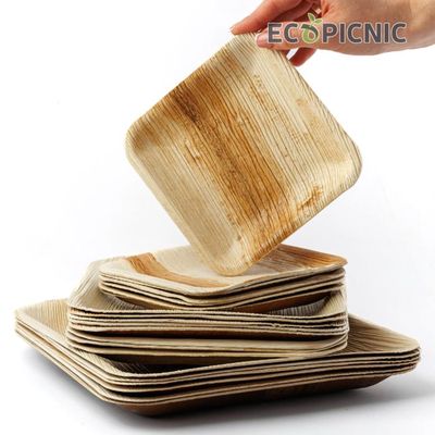 Chic Leaf Lot De 50 Assiettes Carrées En Feuille De Palmier - 15,2 Cm - Compostables Et Biodégradables - Écologiques