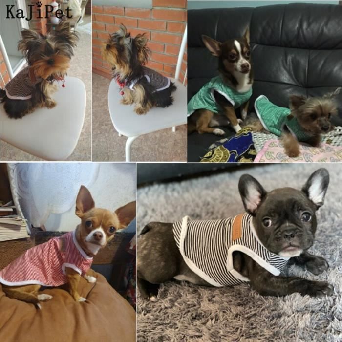Manteau Classique rayure chien chemise pas cher chien v tements