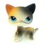 Version 13 Rare Lps Pet Shop Rouge Mignon Cheveux Courts