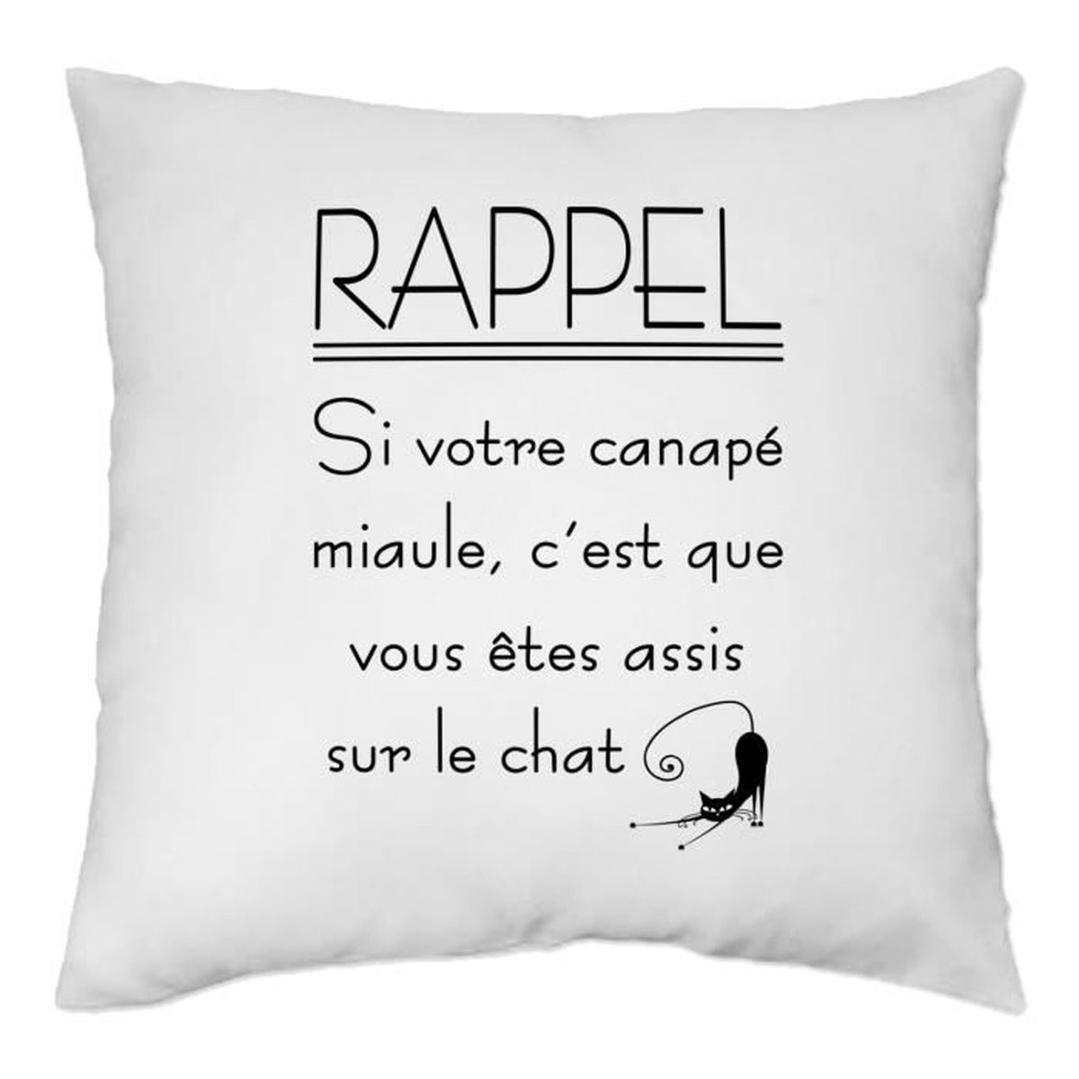 Pillows J Habite Chez Mon Chat Housse De Coussin 40 X 40 Cm Yonacrea Yegnashopping Com