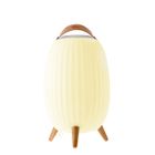 Lanterne nomade musicale EZIlight® Ambiant XL