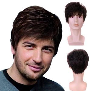 perruque homme