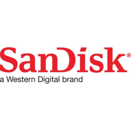 Carte mémoire SanDisk SDCFExpress 256Go Extreme Pro 1700MB/s R 1200MB/s W 4x6