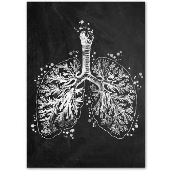 noir-et-blanc-anatomie-art-corps-humain-toile-peinture-coeur-poumon