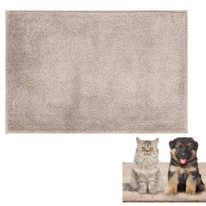 Tapis de porte - 60 x 90 cm - Tapis anti-poussière antidérapant - Tapis de bain - Convient pour lentrée - Polyester