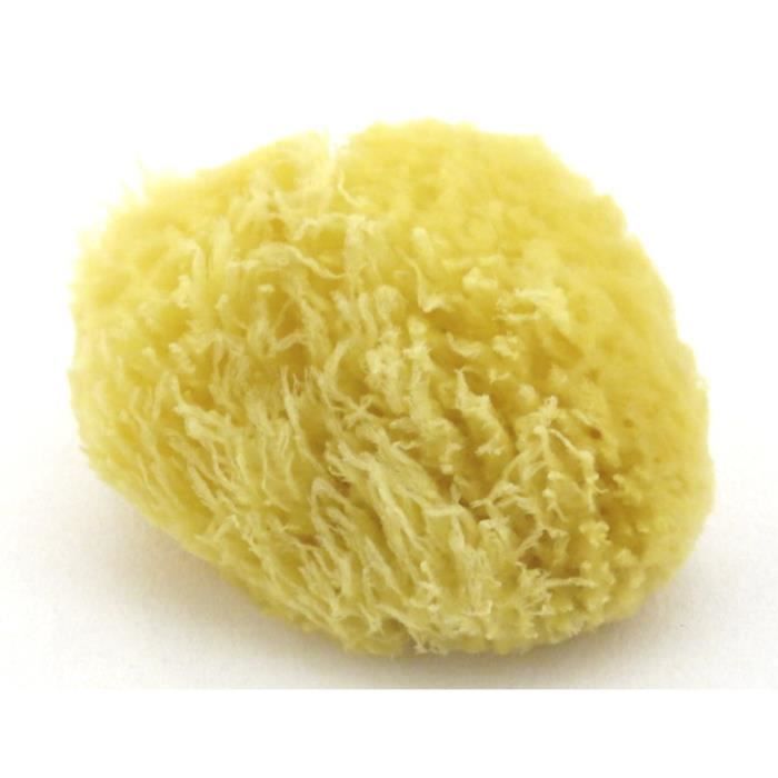 Eponge Naturelle De Toilette Modele Moyen Cdiscount Puericulture Eveil Bebe Eponge Naturelle De Toilette Modele Moyen Cdiscount Puericulture Eveil Bebe