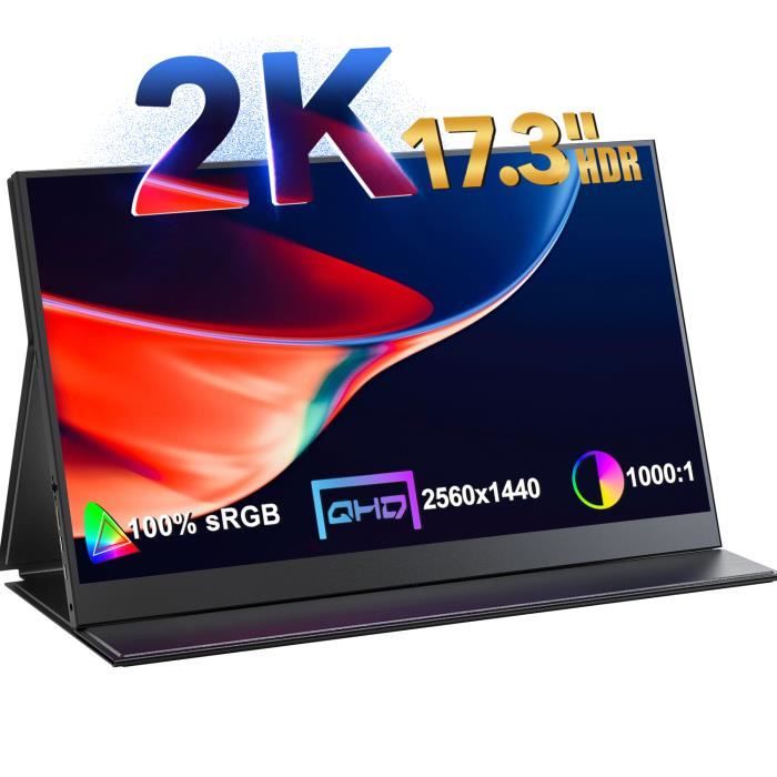 Moniteur portable - CDISPLAY - 17.3 pouces 2K FHD - HDMI/Type-C/VESA