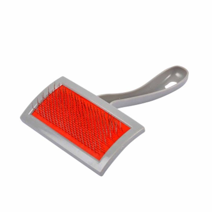 Meilleurs prix pour Brosse de Toilettage - Paris Prix - 20cm - Picots en Inox - Gris & Rouge - Pour Chats et Chiens