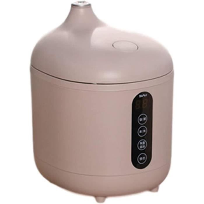 Cuiseur À Riz (1,6 Litres-300 W-220 V) Isolation Intelligente Pour La