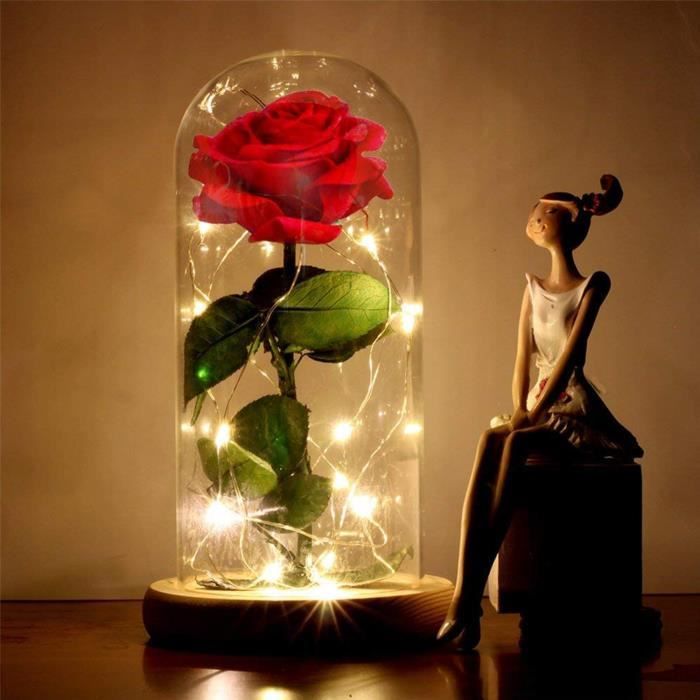 OLY MAGIC - La Rose Eternelle et lumière LED “Belle et la bête ”, meilleur  cadeau pour la fête des mères la fête d'anniversaire USB - Cdiscount Maison
