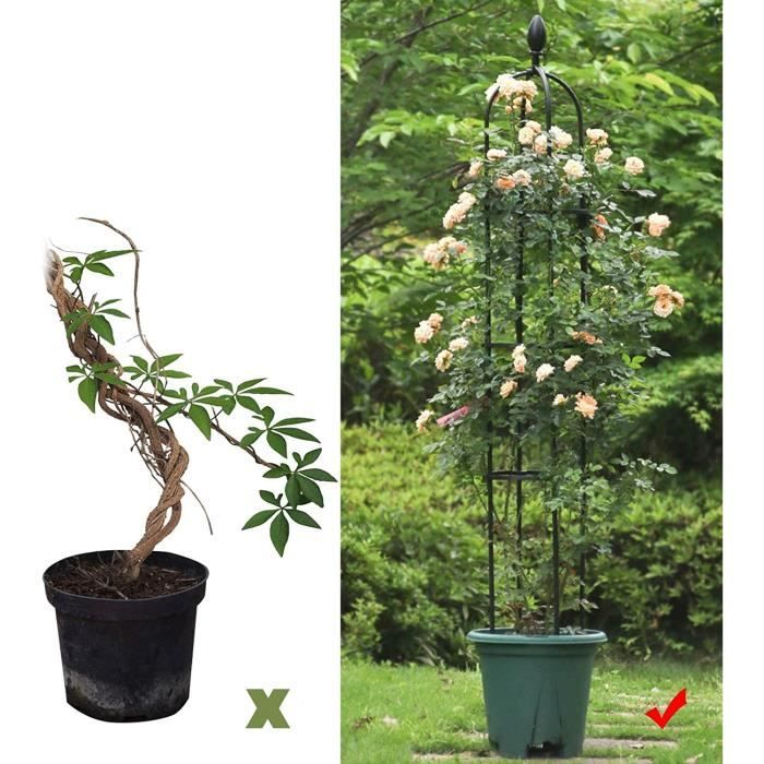 Obélisque De Jardin LIBRNTY 146cm - Support Plantes Grimpantes En Acier - Design Oiseau - Pour Roses, Clématites