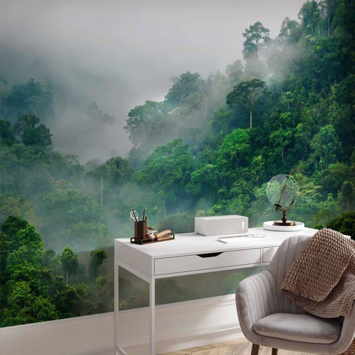 Papier Peint Panoramique jungle brouillard Nature 400x280 cm ...