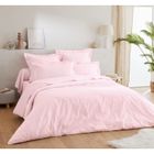 SALOME PRESTIGE Drap housse 50% percale de coton 50% polyester - 80 fils - bonnet 28cm - 160x200 - rose