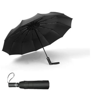 Achat Parapluie homme Storm King Classic 100 noir par Soake - SKCL100B en  gros