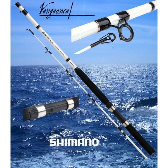 Canna Da Pesca Shimano Vengeance CX - Azione Moderata, Ideale Per Spinning, Per Principianti