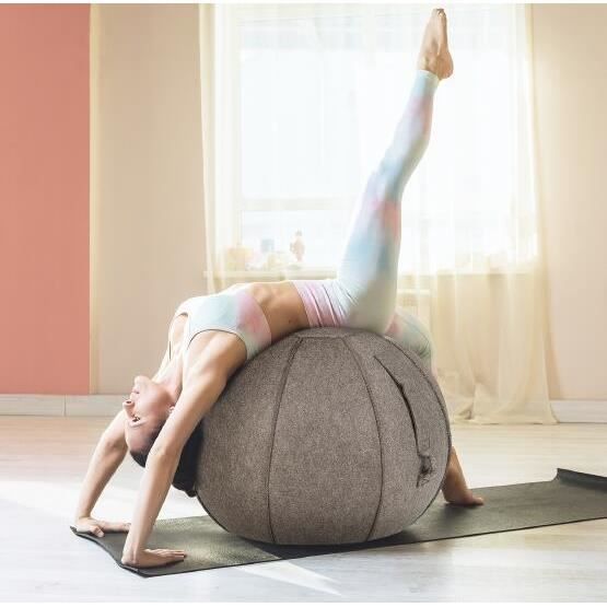 GYMAX Ballon de Yoga 65CM avec Bandes de Résistance et Housse, Ballon d’Exercices avec Poignée et Pompe pour Bureau, Maison, Marron