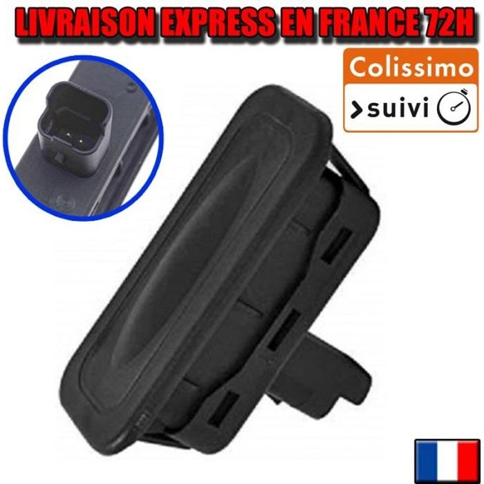 Bouton Contacteur de Coffre Renault Megane Scenic Laguna 3 Clio Kangoo 2 Modus