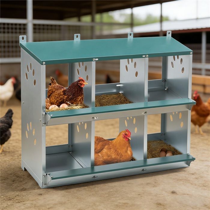 Meilleurs prix pour Poulailler - KIMFEAD Pondoir à poules 6 compartiments avec système de roulement des œufs - Acier galvanisé robuste Vert Jardin