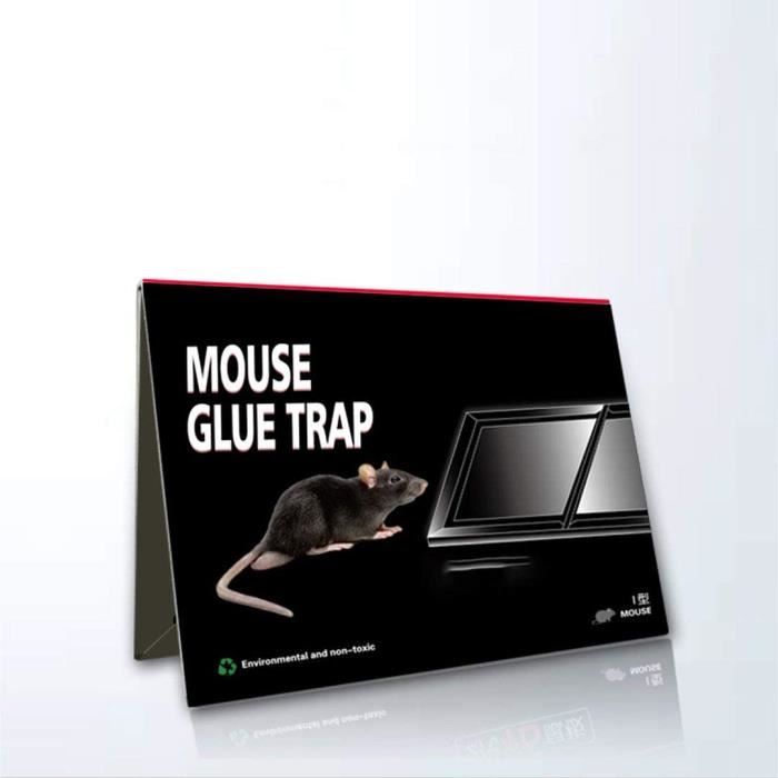 Pièges à Souris Adhésifs - Lot De 12 Plaques Collantes Imperméables, Goût Beurre De Cacahuète, Pour Cuisine, Maison