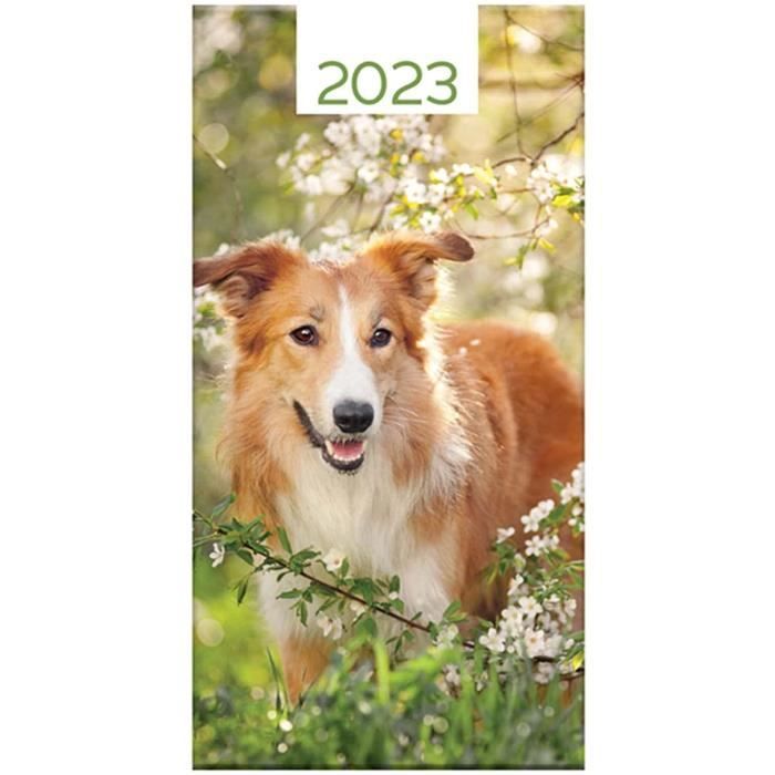 Agenda scolaire - Petit chien - 2023/2024 - 1 page par jour - Août 2023 à  août 2024 - Cdiscount Beaux-Arts et Loisirs créatifs