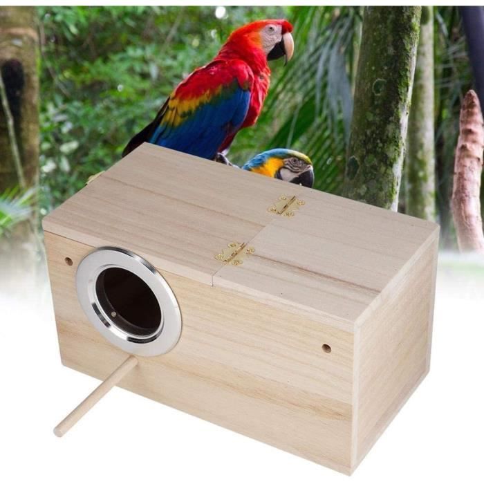 Parrotlets Accouplement boîte, nid d'oiseau, inséparables en Bois Non  Toxiques pour perruches pour Perroquet calopsitte(Right [81] - Cdiscount  Animalerie