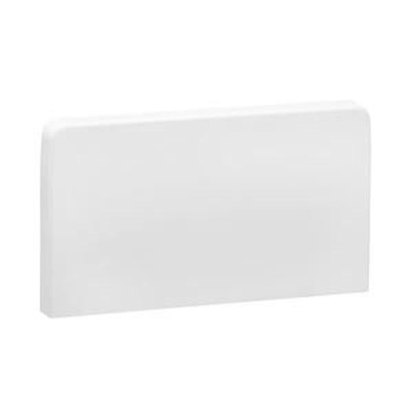 Schneider Electric OptiLine 45 Goulotte PVC Blanc Polaire 140x55 Mm Avec Embouts - Lot De 2