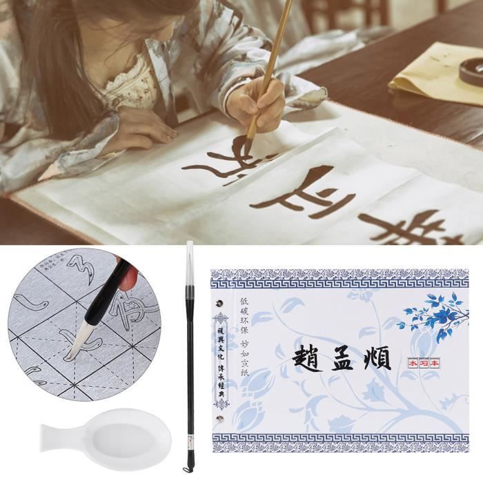 Kit Calligraphie Chinoise Sans Encre PH PandaHall - Tissu Magique Réutilisable Avec Pinceaux Et Bol