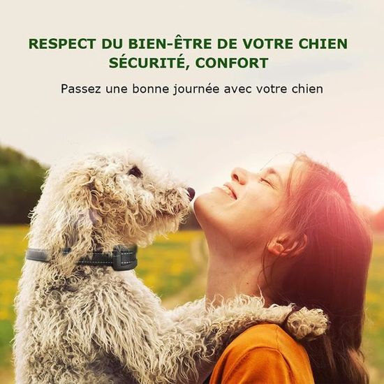 Collier Anti Aboiement Chien 3 Modes Automatique Ip65 Batterie Rechargeable Sangle Reflechissant Reglable Pour Petit Gros Chien Cdiscount Animalerie