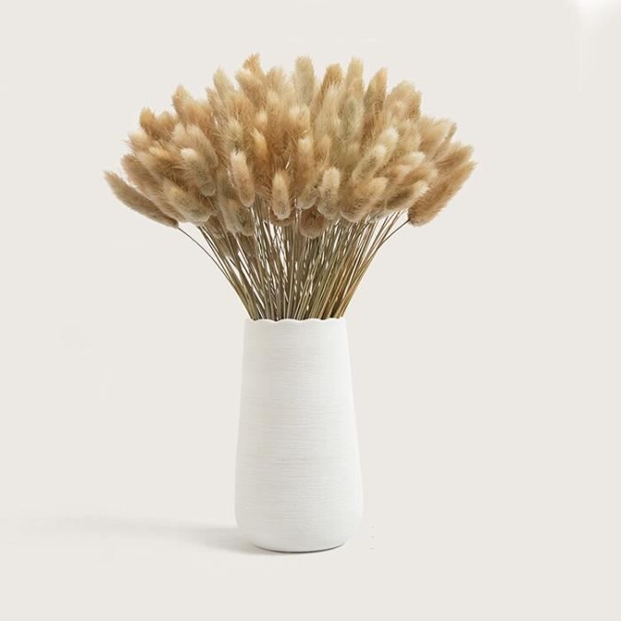 60 Bouquets D'herbe De Pampa Séchée – Décoration Naturelle Pour Intérieur
