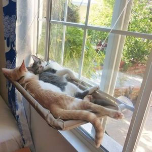 CORBEILLE - COUSSIN Lit de fenêtre pour chat - Perchoir pour chat - Hamac - En toile respirante - Avec ventouses A442