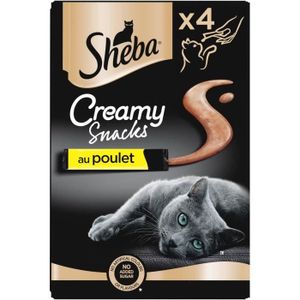 FRIANDISE Snack Pour Chat - Creamy Snacks Friandises Chats –