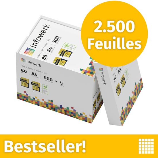 Papier Imprimante Infowerk 80g/m² - Lot De 5000 Feuilles A4 - Blancheur CIE 160 - Certifié PEFC