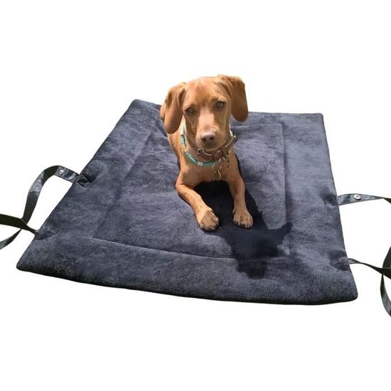 Catalonia Coussin de lit réversible et imperméable pour le camping, tapis  de siège d'auto portatif avec poignées pour petits chiens de taille  moyenne, pour l'intérieur et l'extérieur - Wayfair Canada