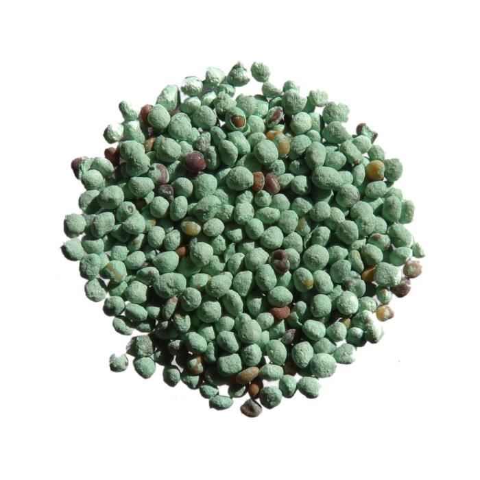 Trèfle Micro Nain Pipolina (enrobé) (Vintage Blue Color) - 100 grammes - Trifolium Repens - Micro-Clover - ( Engrais vert ) - SEM14